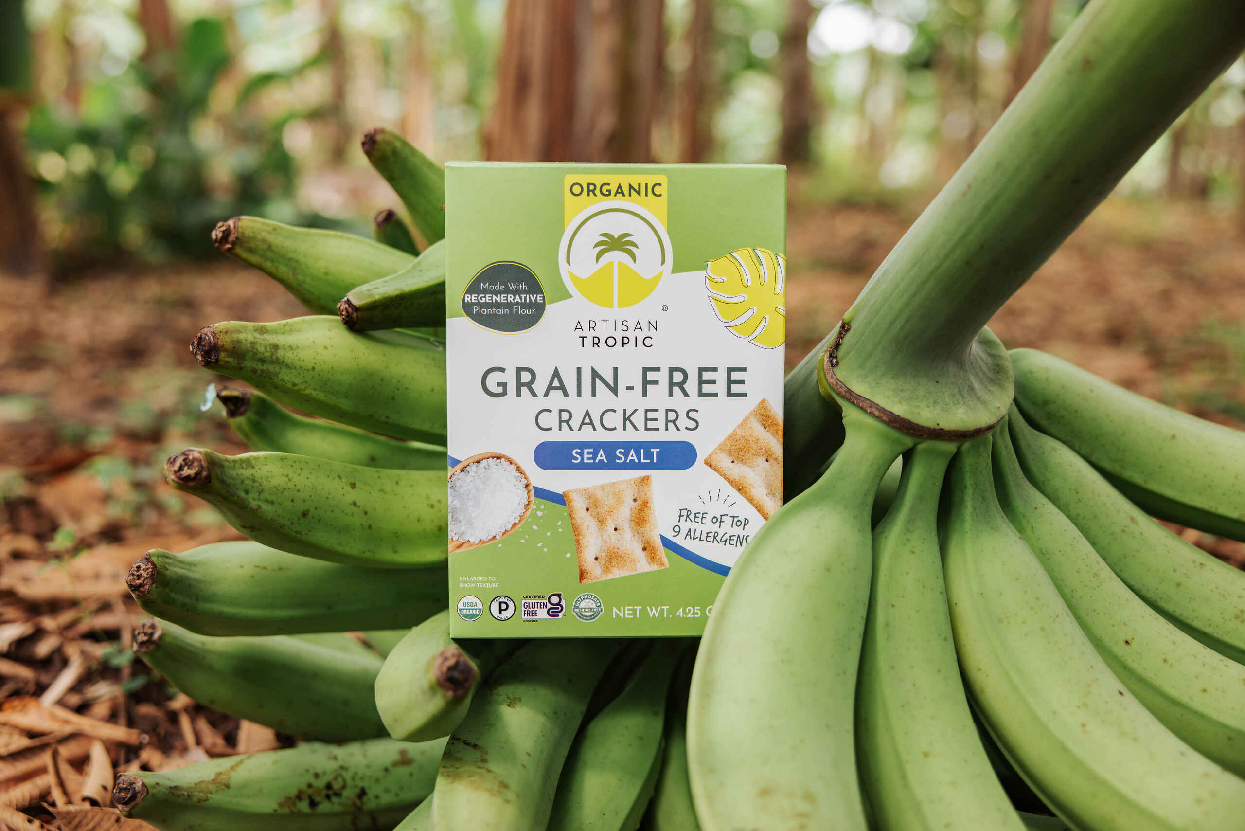 Artisan Tropic grain-free sea salt crackers made with regenerative plantain flour, displayed with fresh plantains in a tropical farm setting