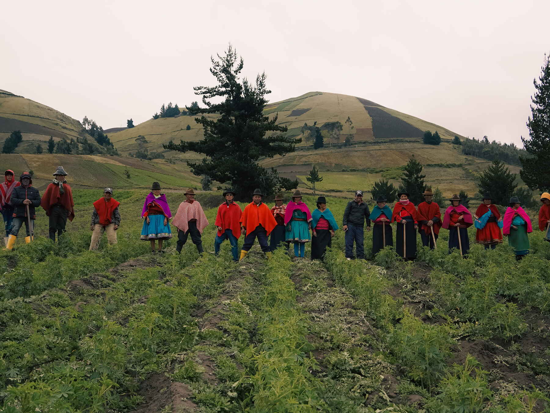Grupo de agricultores ind&iacute;genas reunidos en un campo cultivado en los Andes ecuatorianos
