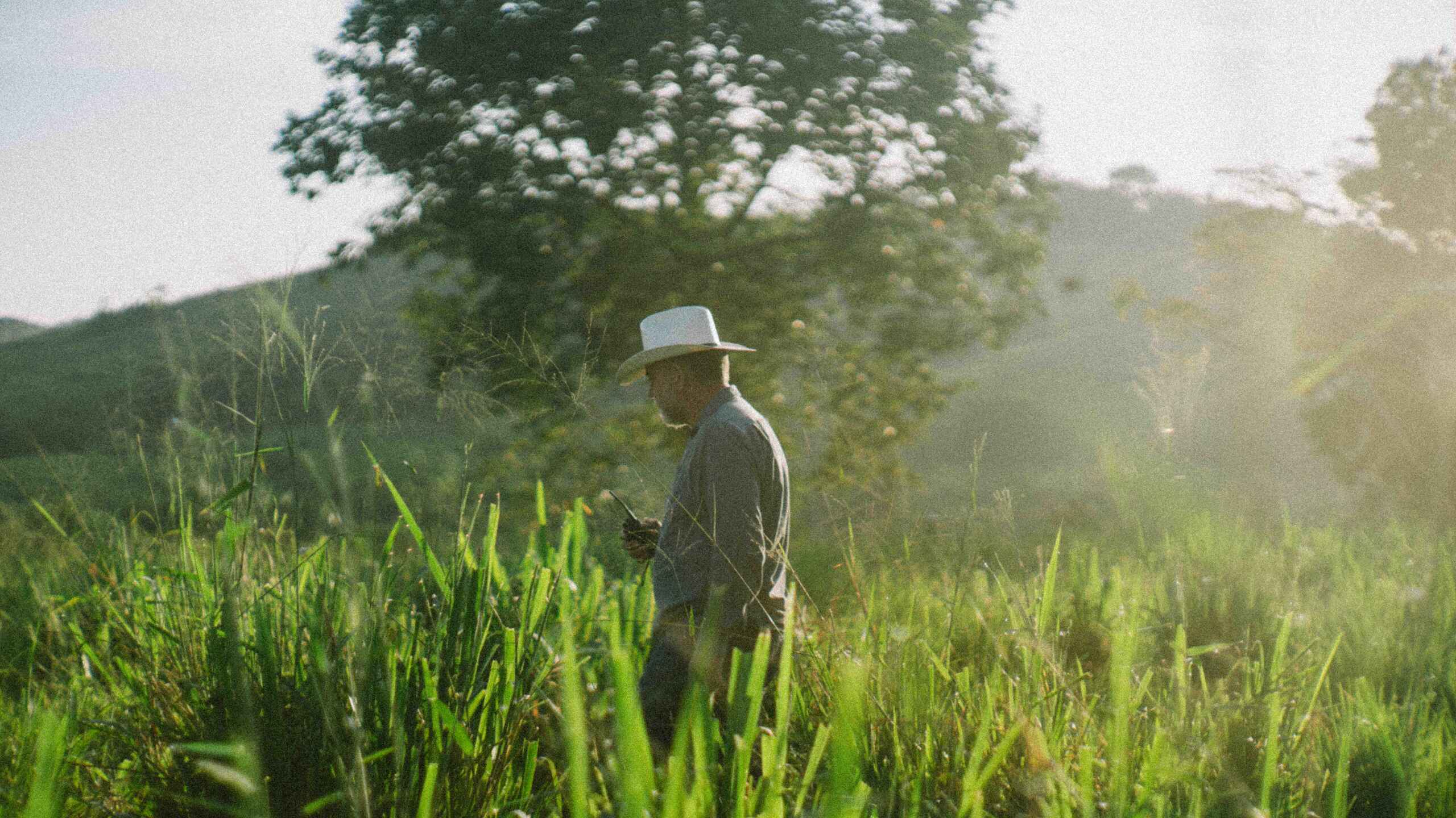 Farmer in a white hat standing in a lush green field with mountains in the background