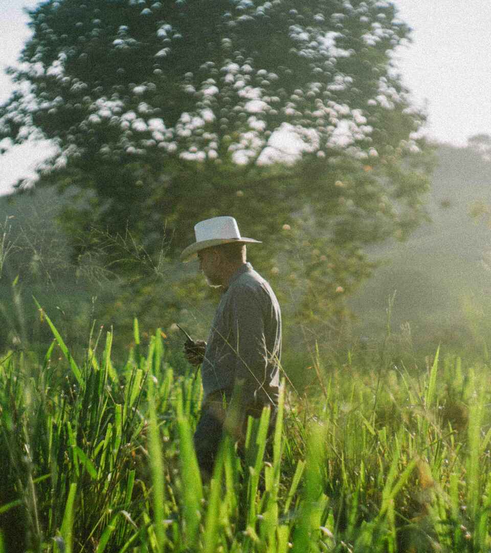 Farmer in a white hat standing in a lush green field with mountains in the background