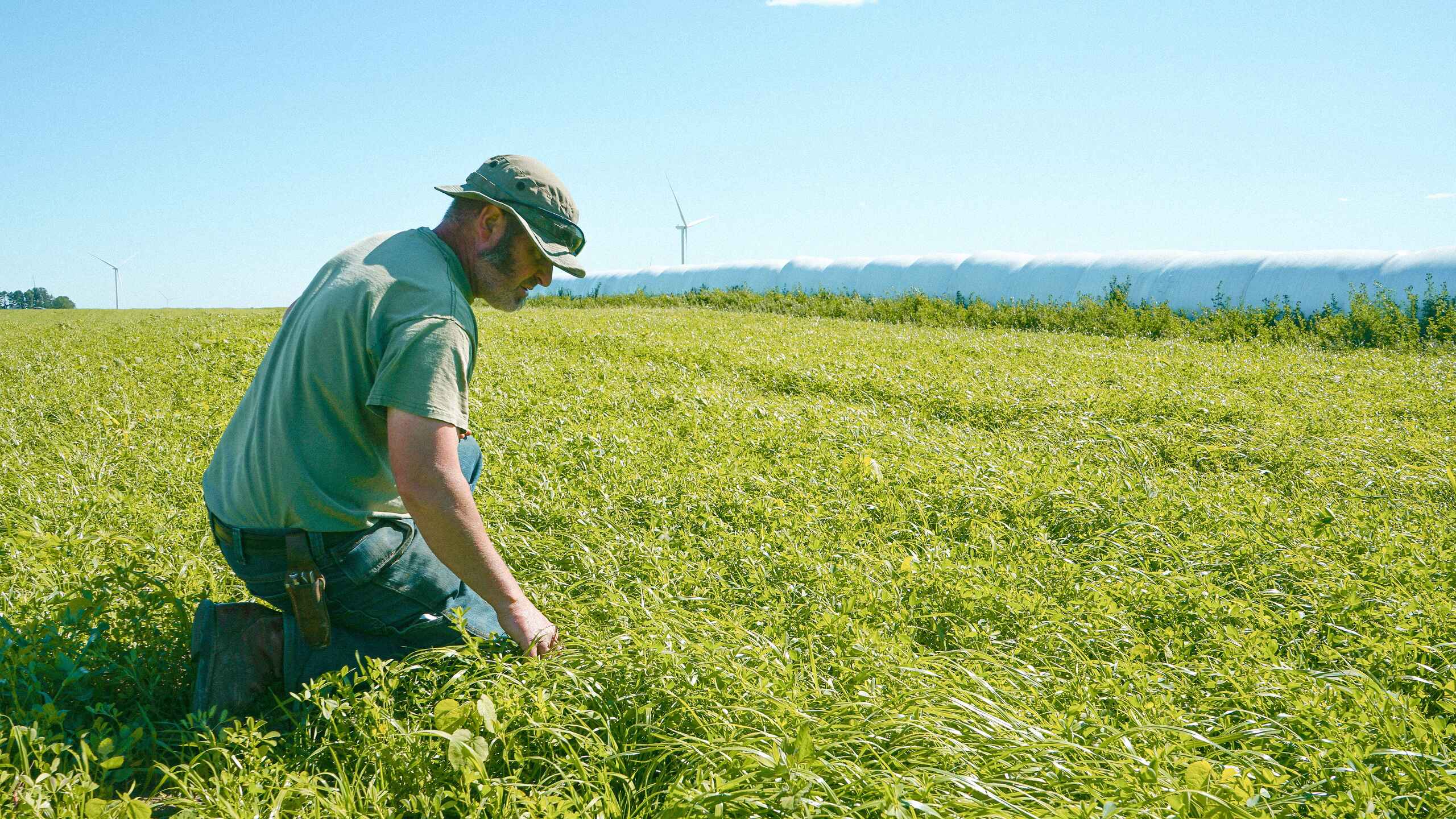 Farmer in a green field examines soil health while wind turbines dot the distant horizon