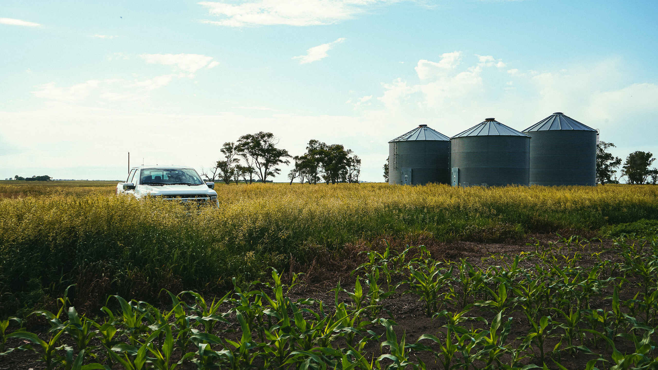 White utility vehicle parked in a corn field next to three grain storage silos