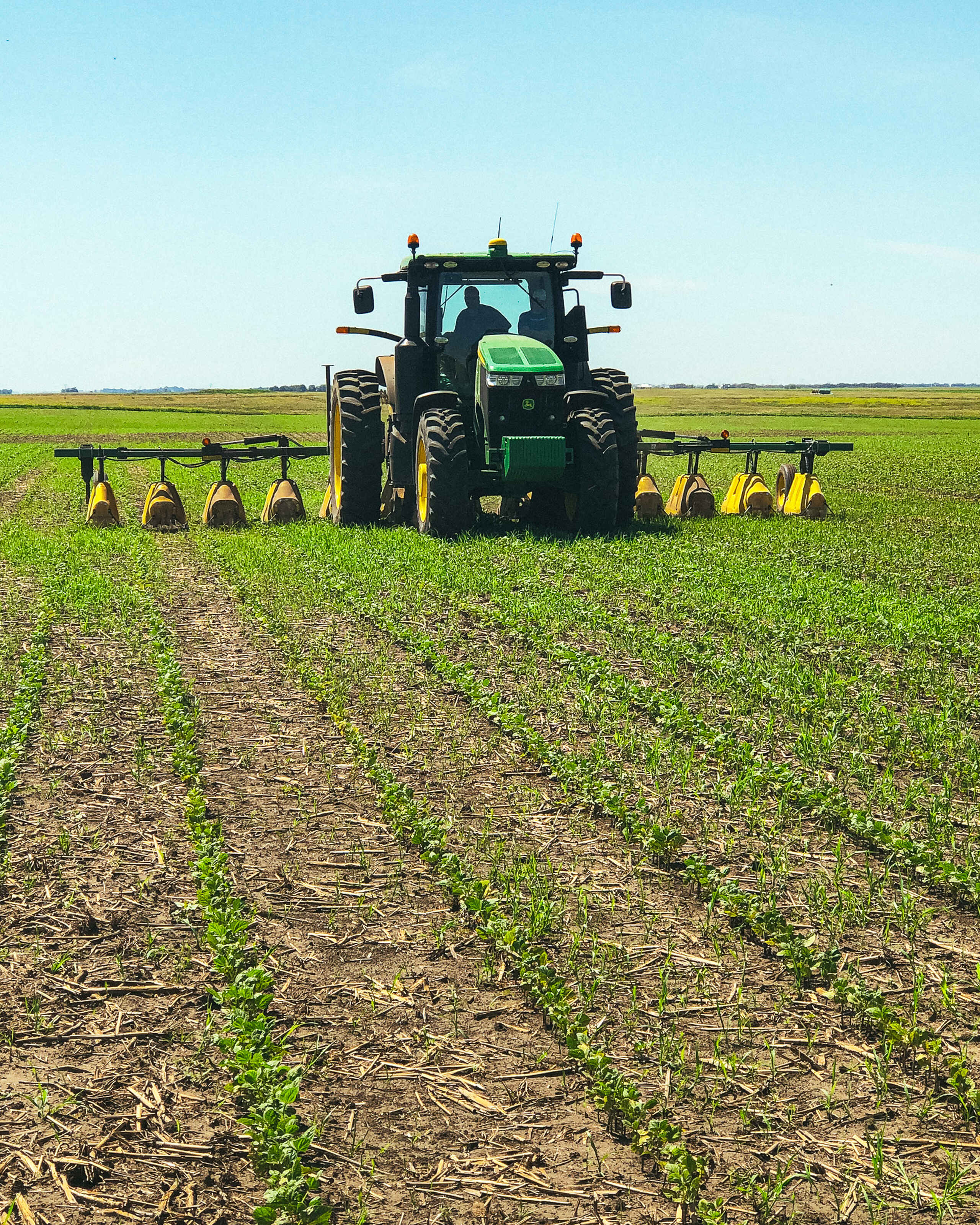 John Deere tractor with cultivator attachment working through early-stage crop rows in a farm field