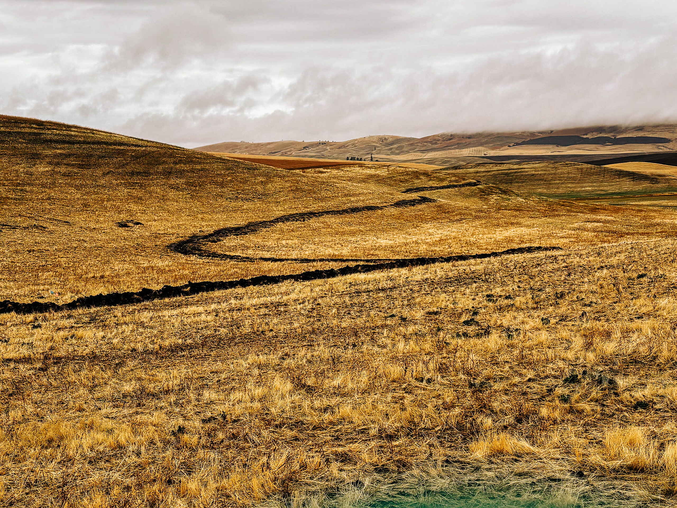 Rolling grassland with curved swales cut into the terrain for water management and soil conservation