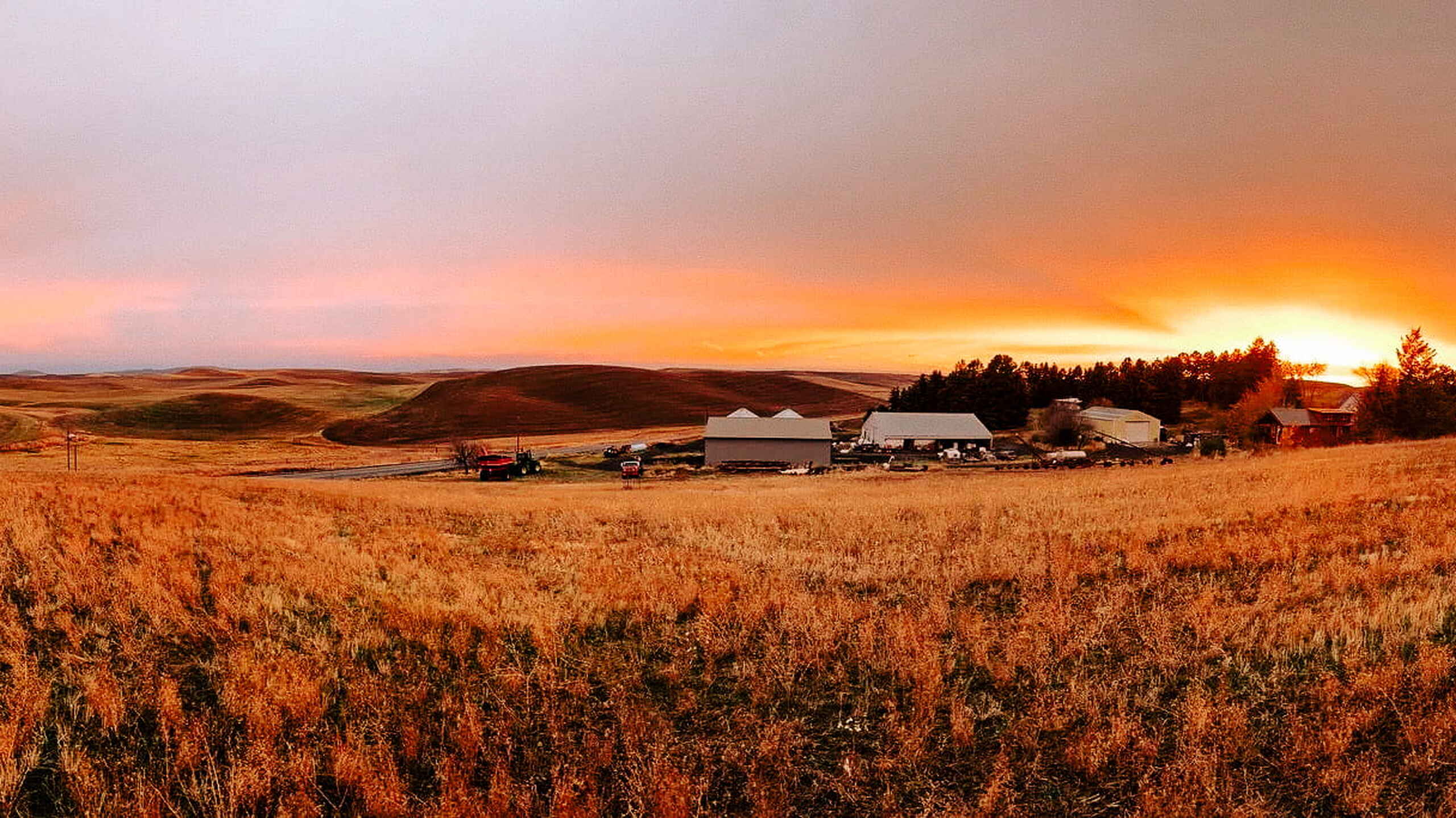Farm buildings and grain fields at sunset in the Palouse region of Washington