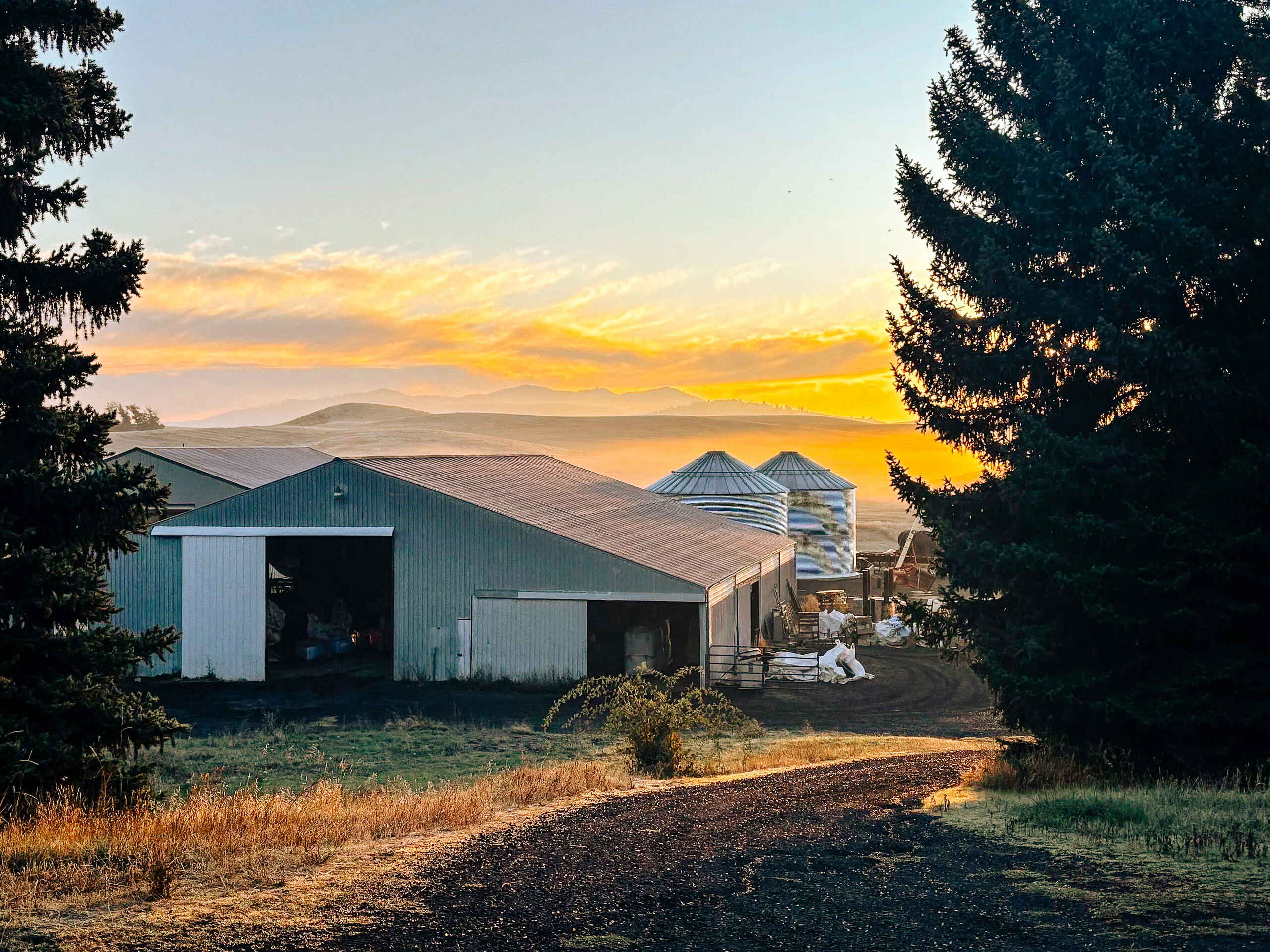 Farm buildings and grain storage silos at Zakarison Farm at sunset with forested hills in the distance