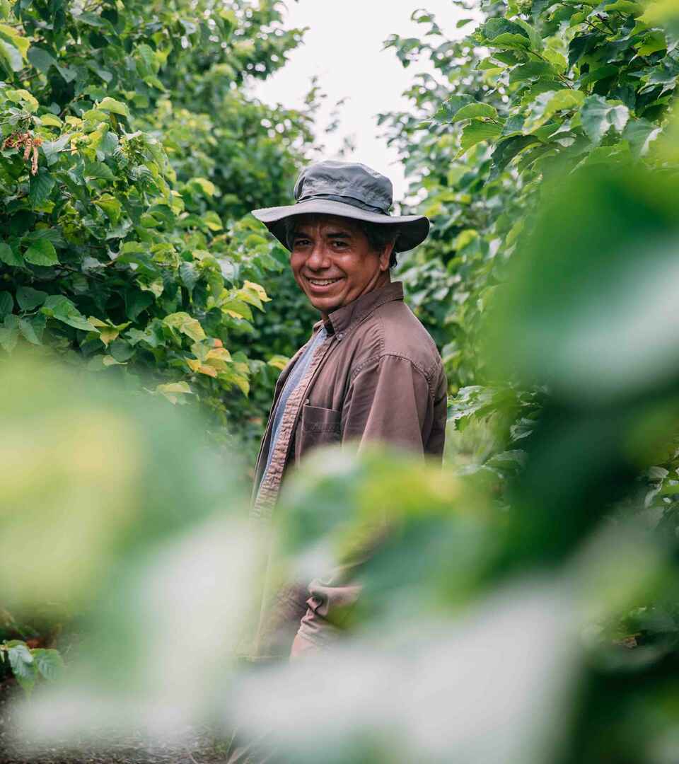 Farmer smiling at camera while standing in a leafy crop field