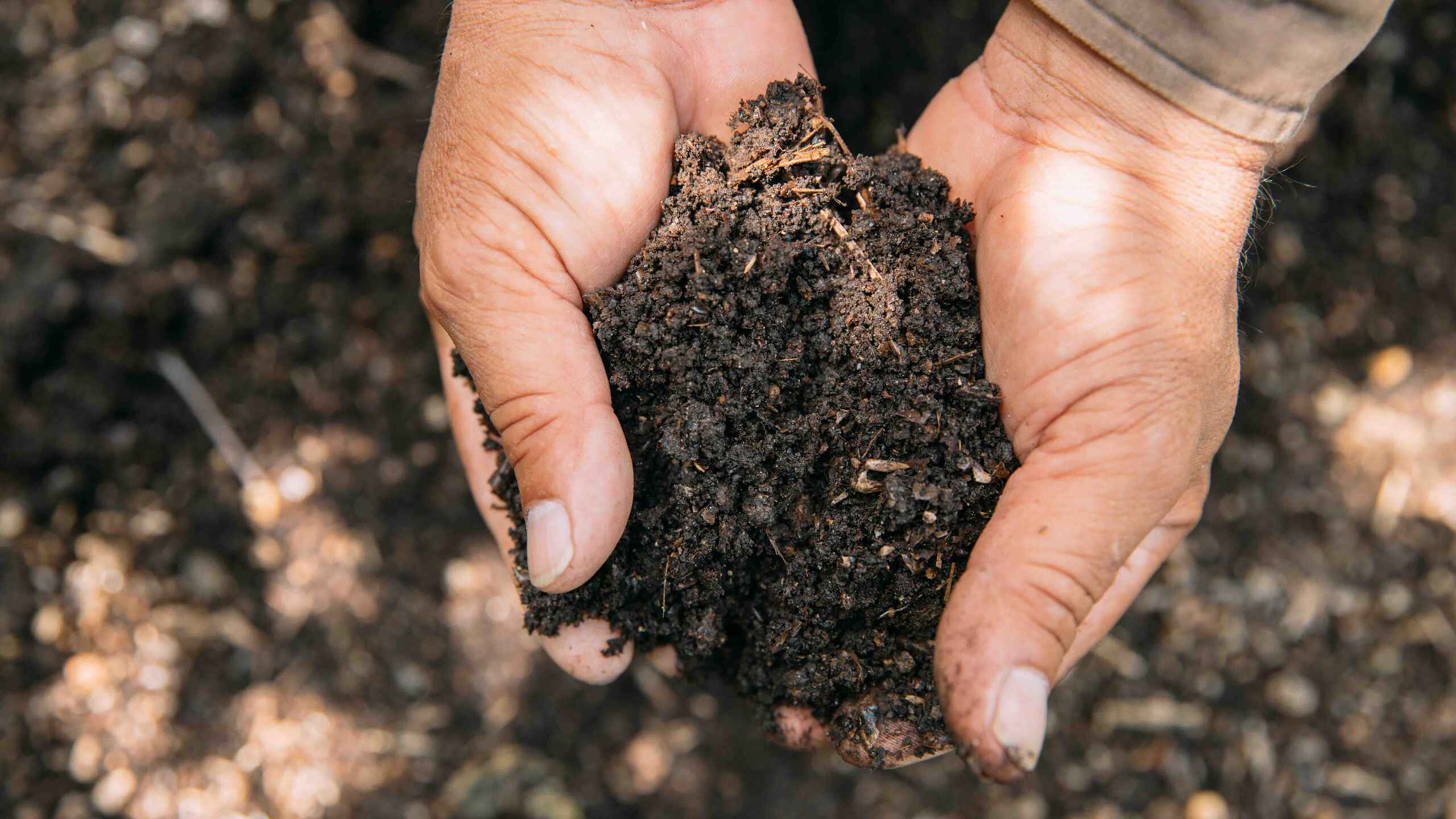 Farmer's hands holding a handful of rich, dark soil