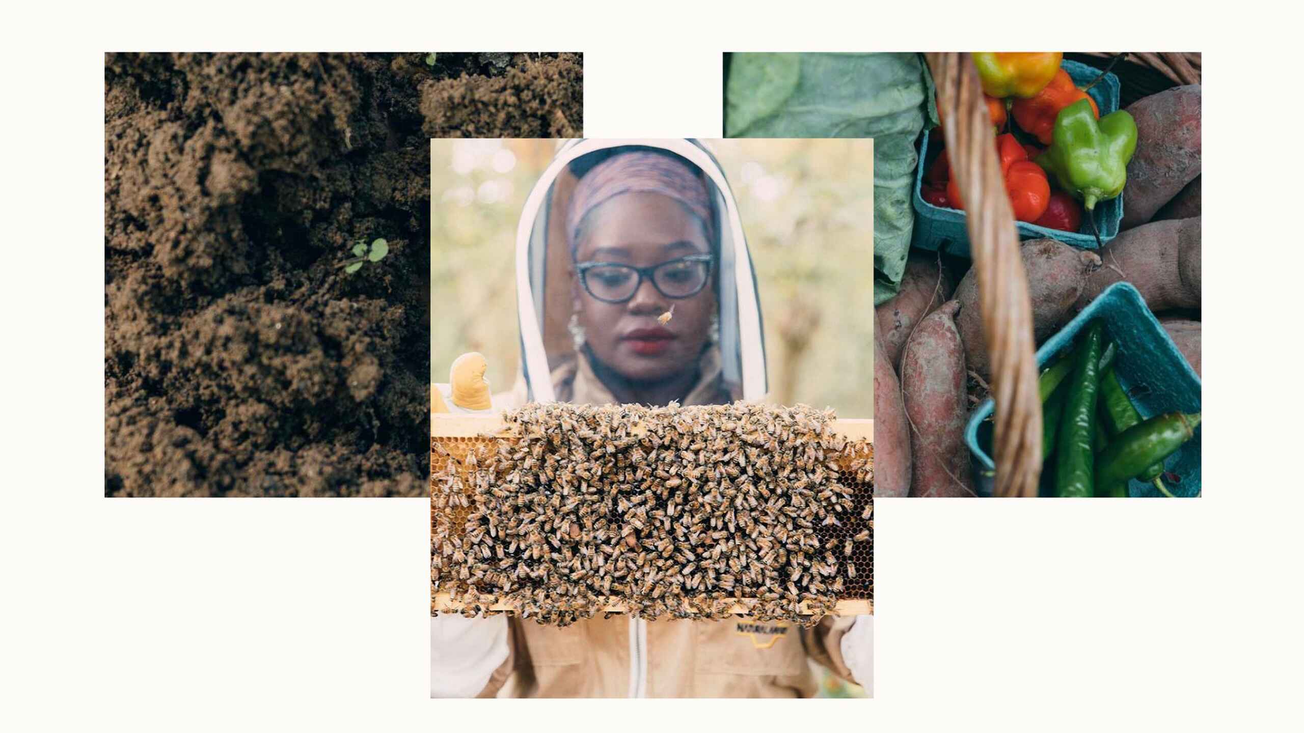 Samantha Foxx works with soil, seeds, and fresh vegetables as part of sustainable farming practices