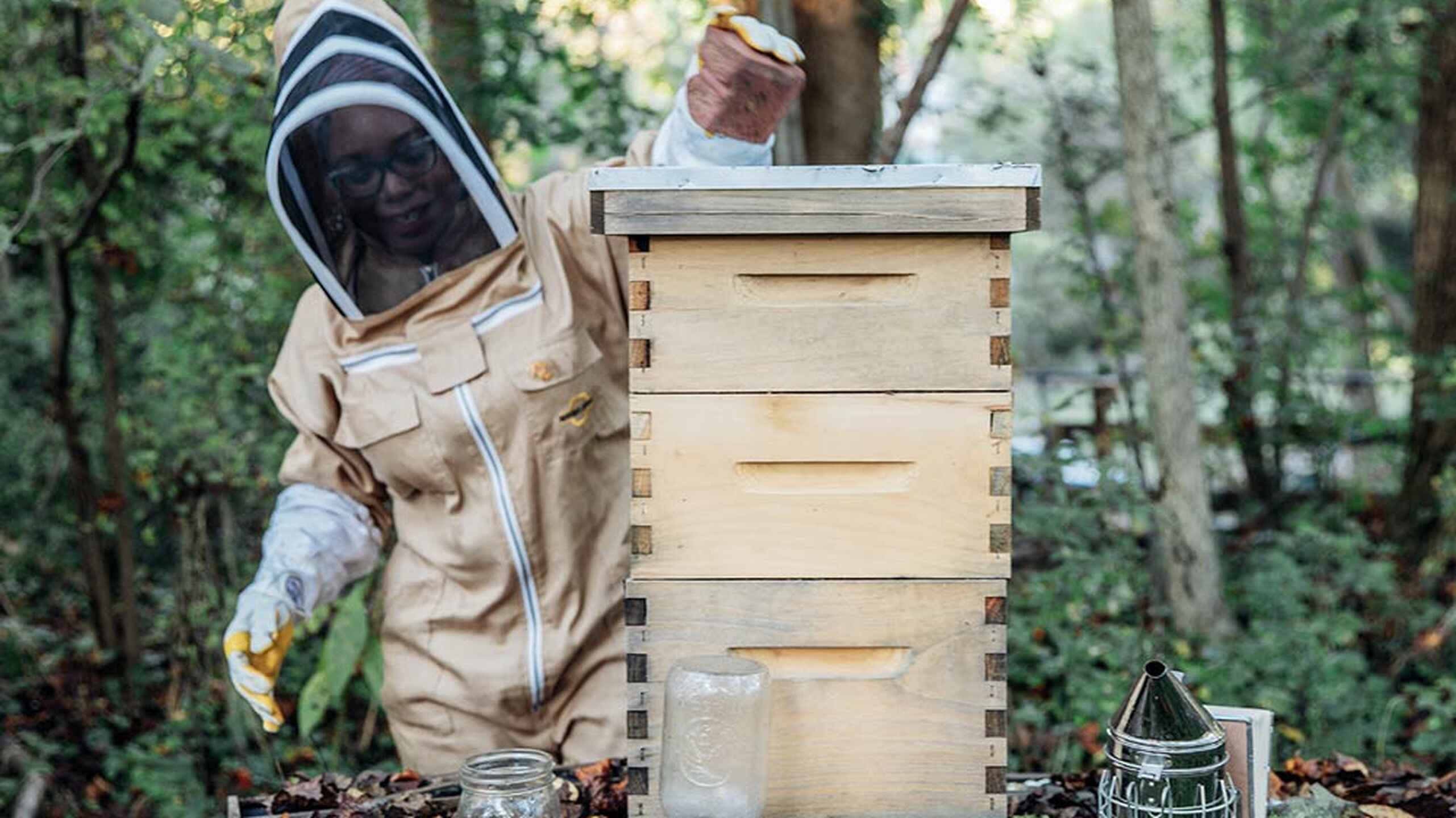 Beekeeper in protective suit inspecting a wooden hive in a forest setting