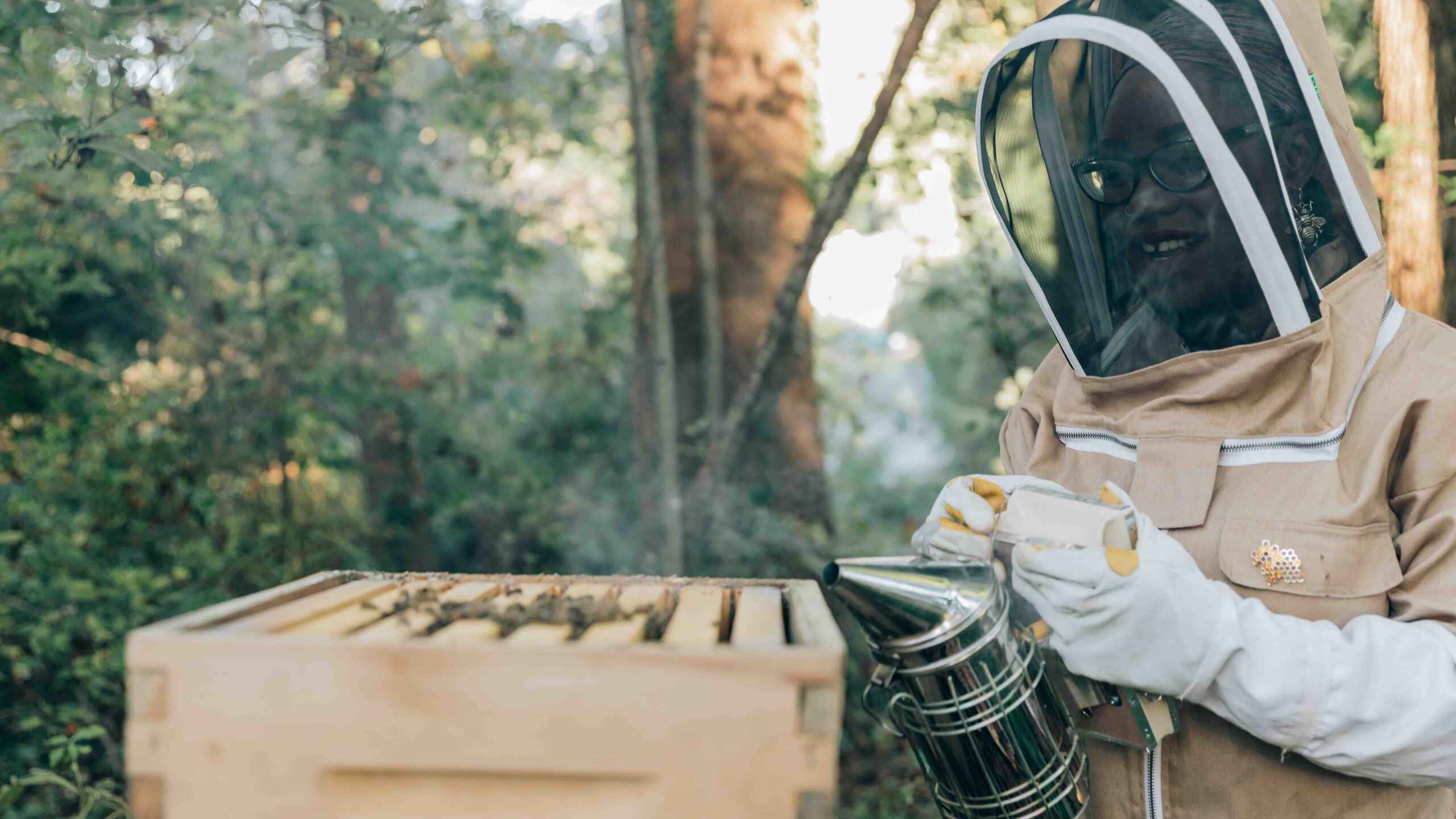 Beekeeper in protective suit and veil holding a bee smoker while inspecting a wooden hive