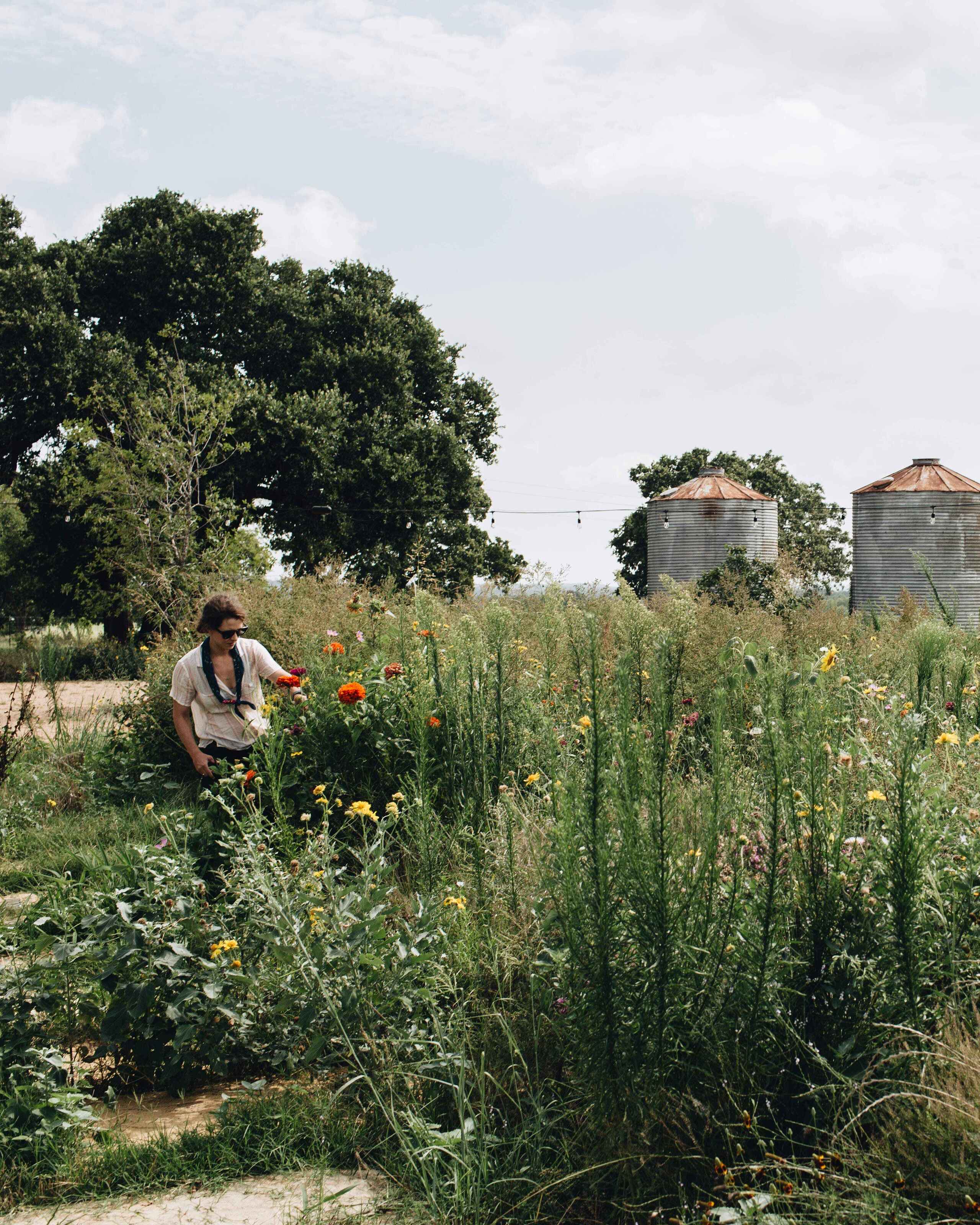 Taylor Collins tends to a diverse garden filled with flowering plants and native vegetation near farm grain storage silos at Roam Ranch