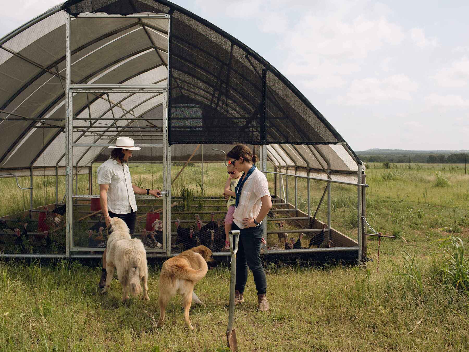 Two people and two dogs outside a mobile poultry house on a pasture at Roam Ranch
