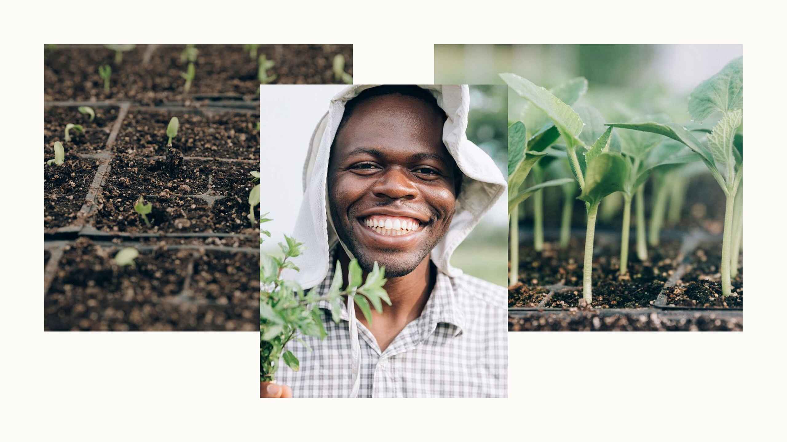 Wandaka Heritier Musungira smiling while holding a seedling, surrounded by images of soil with sprouting plants