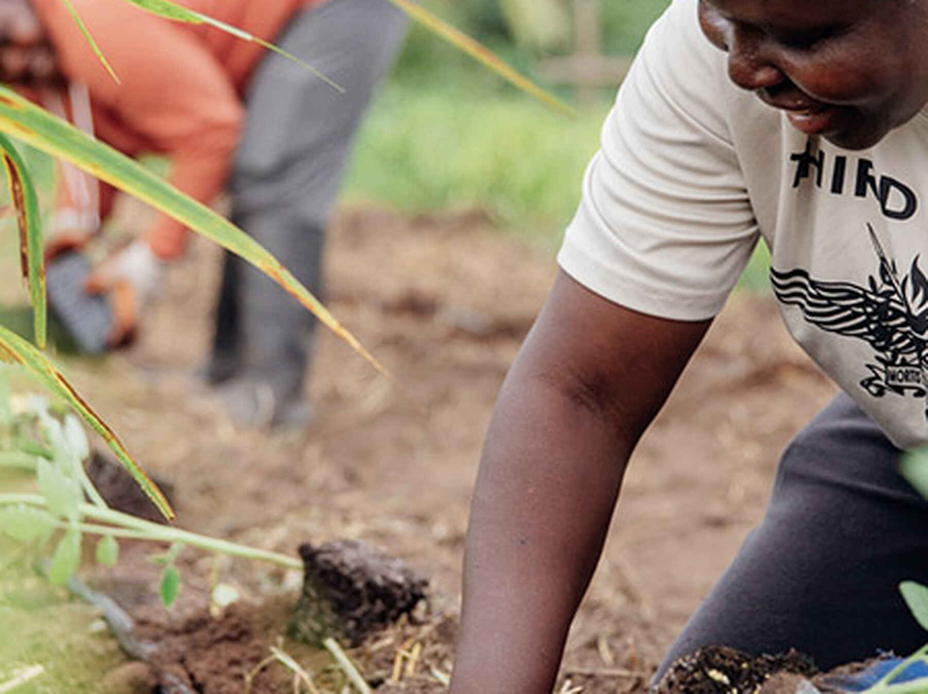 A young farmer wearing blue gloves tends to seedlings in a garden bed while others work in the background