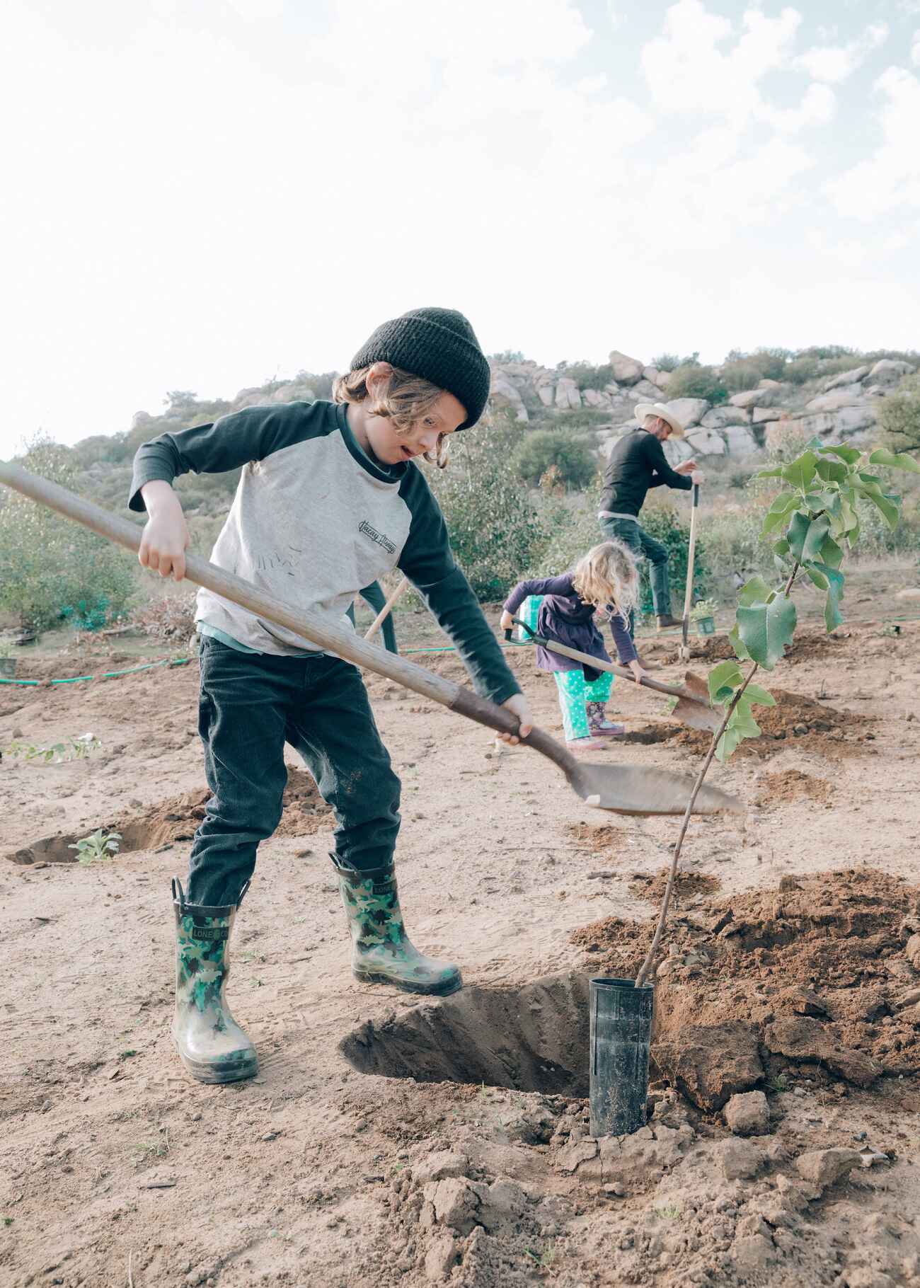Child digging a hole to plant a young tree in dry soil with other volunteers working in the background