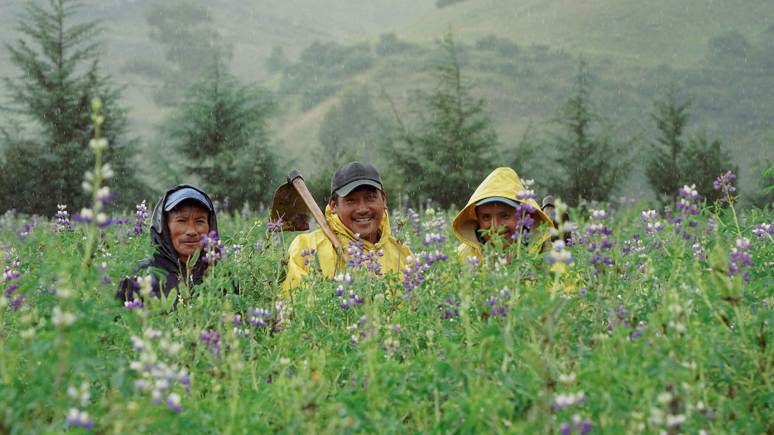 Farmers in rain gear smiling in a wildflower field on a misty hillside.