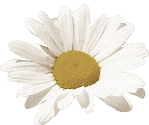 farmers-footprint-spring-blog-2022-flower-1-min