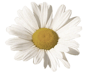 farmers-footprint-spring-blog-2022-flower-2-min