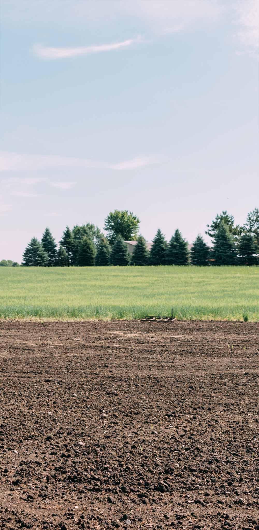 farmers-footprint-meet-a-farmer-salvatierra-farms-17
