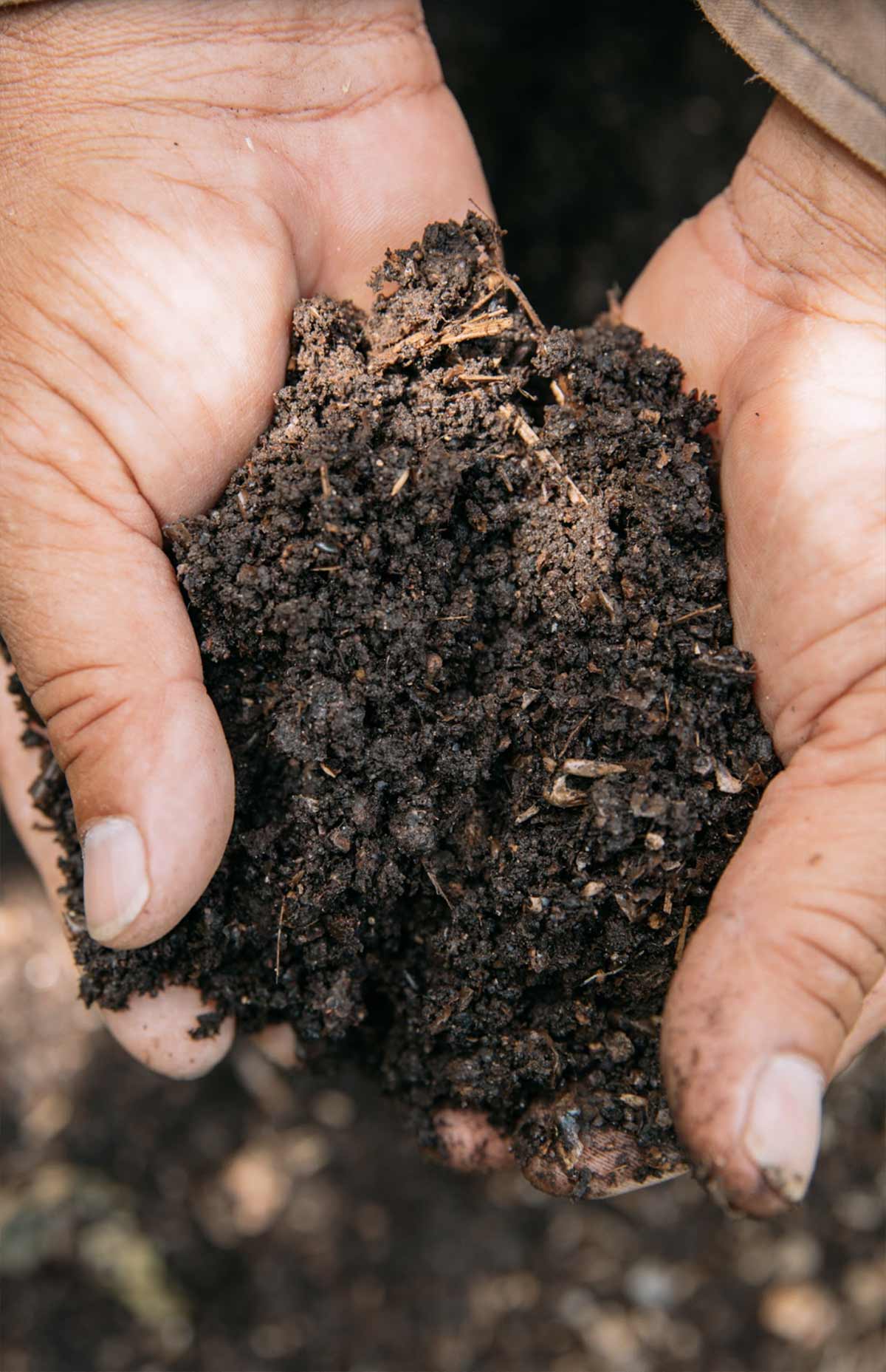 farmers-footprint-meet-a-farmer-salvatierra-farms-8