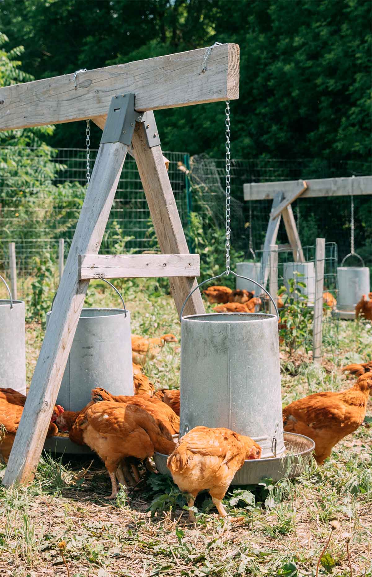 farmers-footprint-meet-a-farmer-salvatierra-farms-9