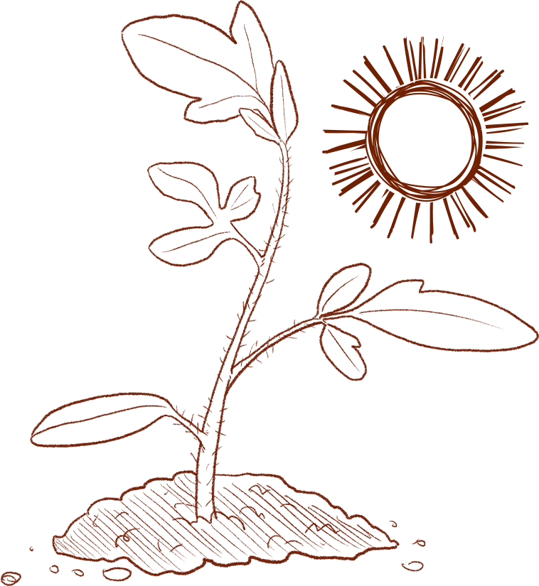 farmers-footprint-who-grows-your-food-part2-8-min