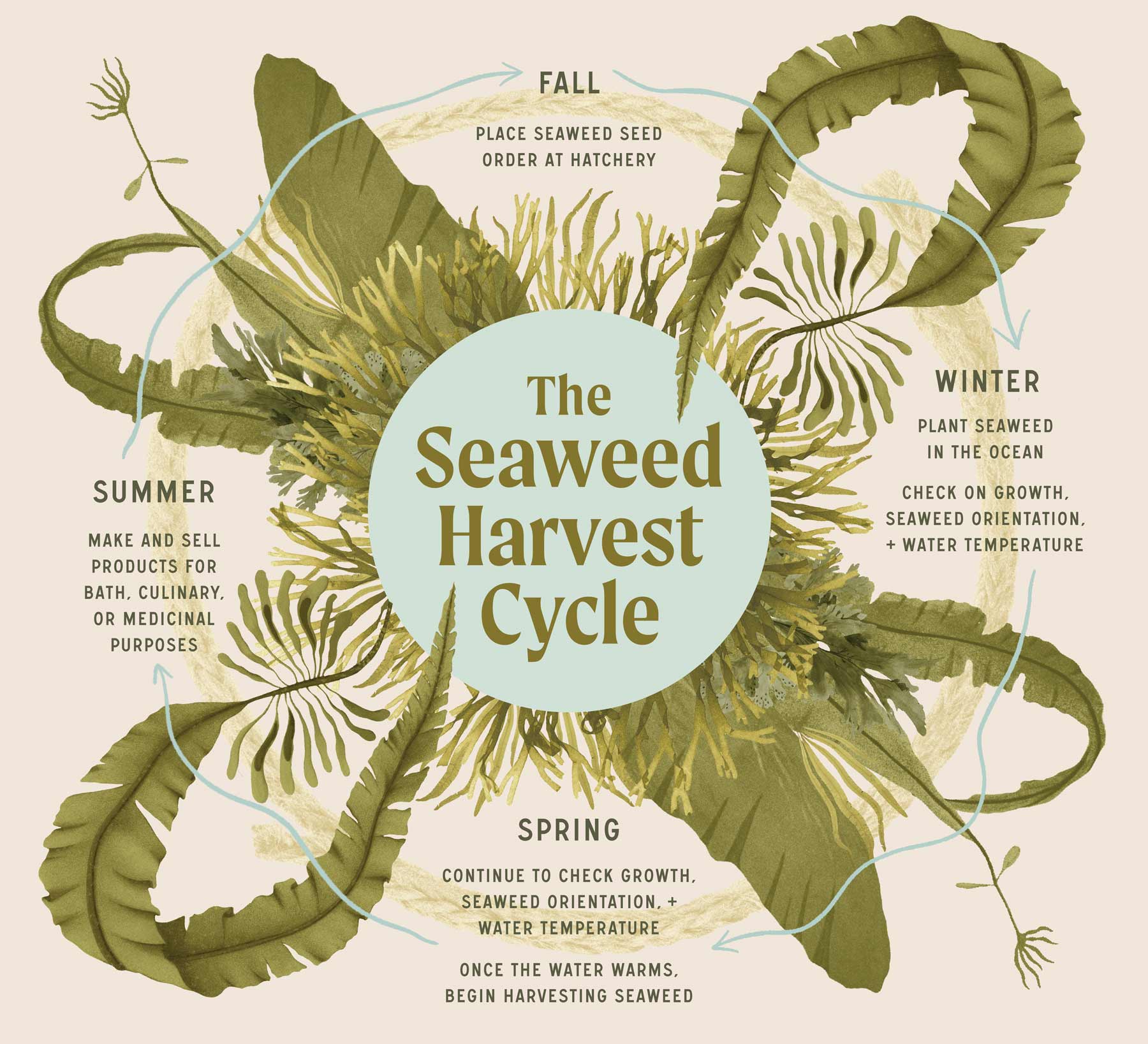 farmers-footprint-meet-a-farmer-nautical-farms-farmside-seaweed-cycle