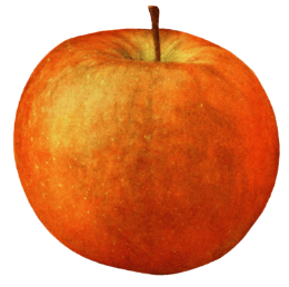 farmers-footprint-fall-blog-2022-apple-min