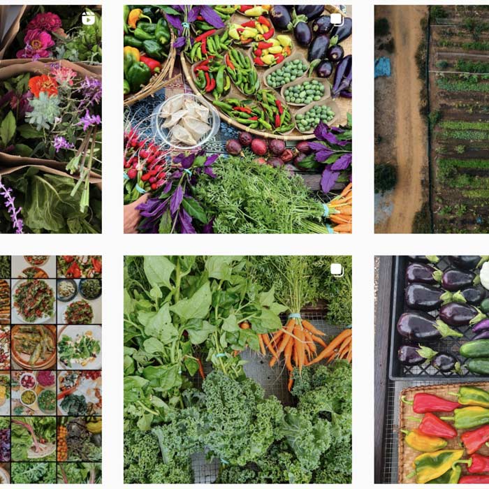 farmers-footprint-the-nest-1000tinyfarms-social