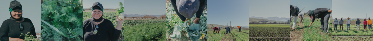farmers-footprint-the-nest-catalanfarms-photos