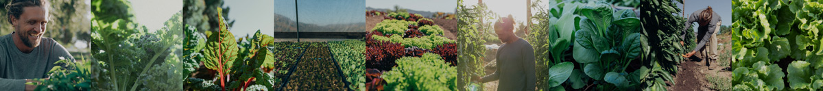 farmers-footprint-the-nest-tinyfarms-photos