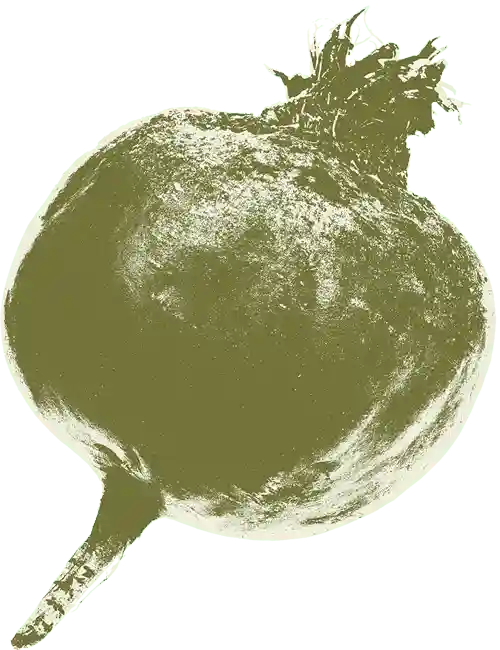 farmers-footprint-garden-club-2023-bg-beet