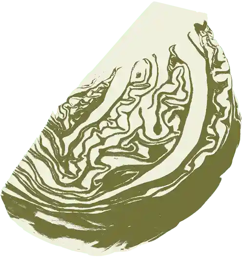 farmers-footprint-garden-club-2023-bg-cabbage