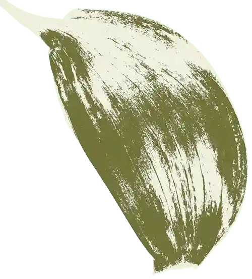 farmers-footprint-garden-club-2023-bg-garlic