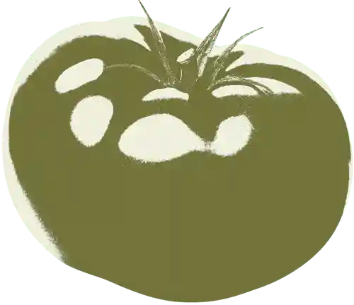 farmers-footprint-garden-club-2023-bg-tomatoe