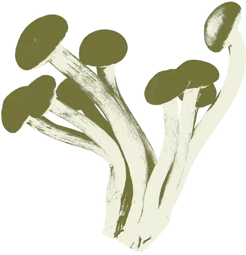 farmers-footprint-garden-club-2023-mushrooms