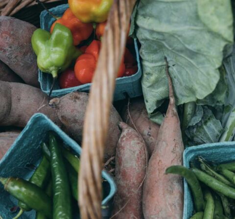 Samantha Foxx - Farmer's Footprint