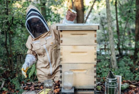 Samantha Foxx - Farmer's Footprint