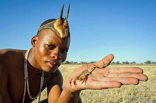 krugerpark.co.za2