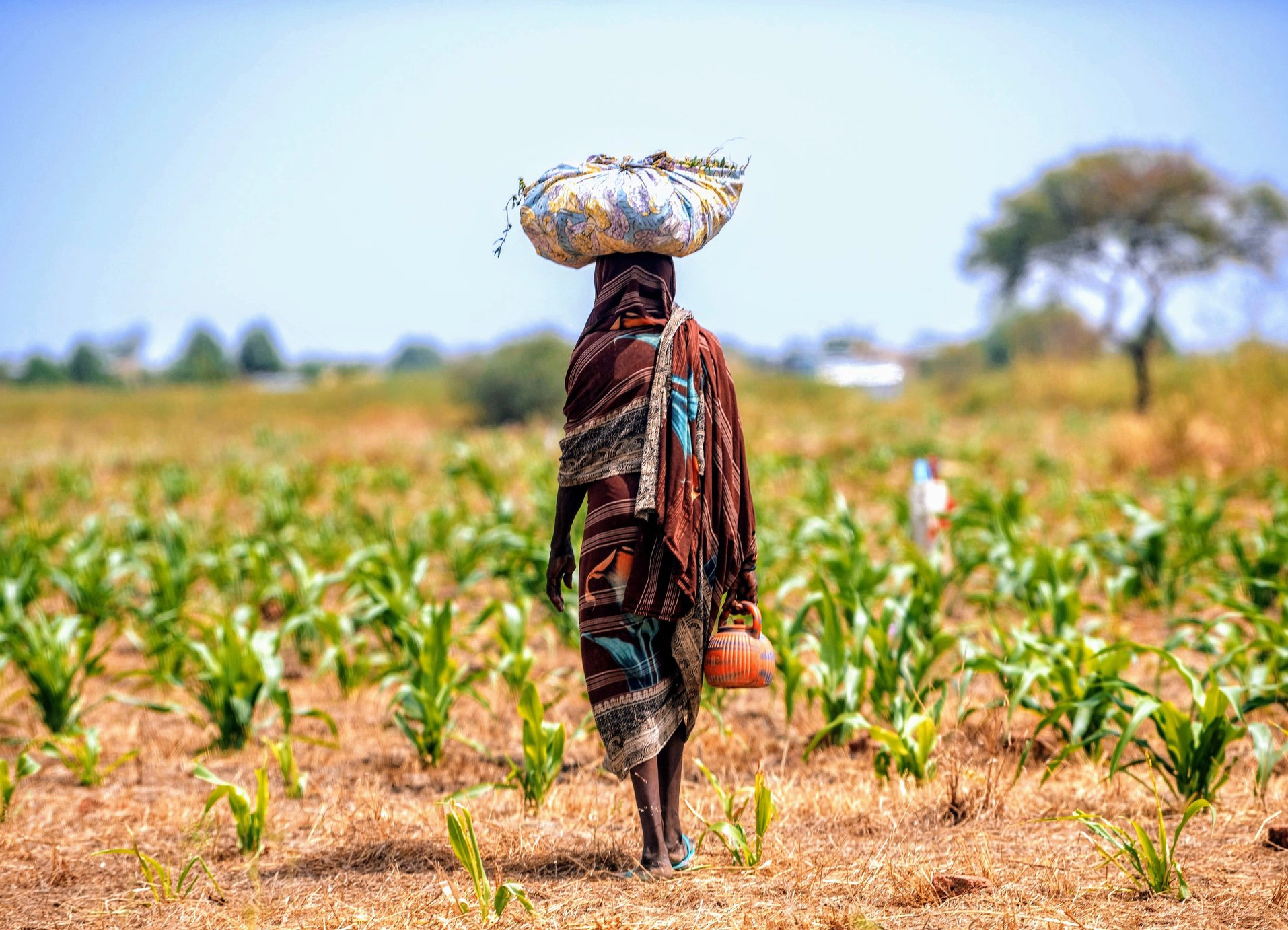 nana-culture-in-ag-image-2