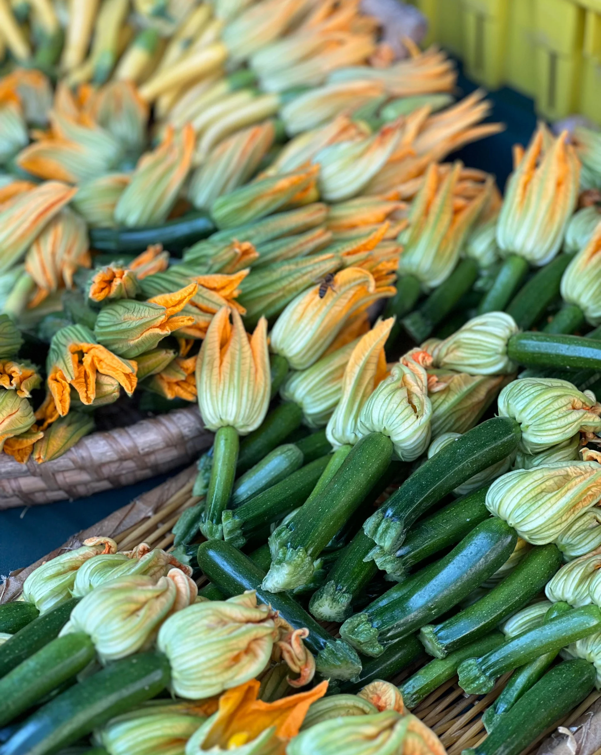 nana-pan-fried-squash-large